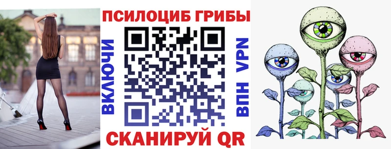 Галлюциногенные грибы Psilocybe  гидра зеркало  Сольвычегодск  где можно купить наркотик 